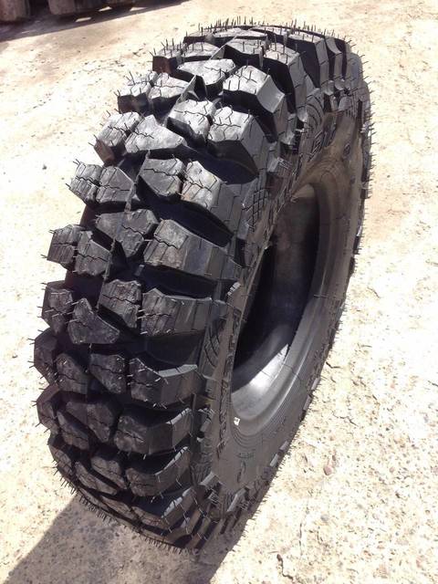 Алтайшина FORWARD SAFARI 510 (1)